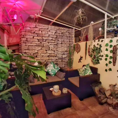 Oasis Epifito Urbano Botanical Wellness Oasis Near Of Arts & Sciencies