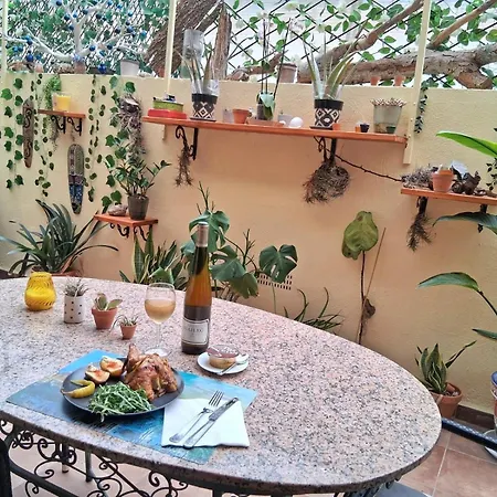 Oasis Epifito Urbano Botanical Wellness Oasis Near Of Arts & Sciencies *