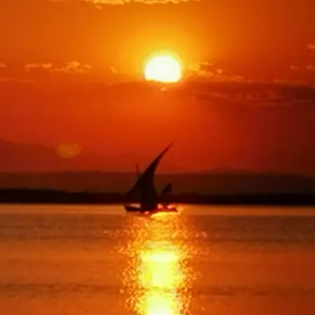 Oasis Epifito Urbano Botanical Wellness Oasis Near Of Arts & Sciencies 발렌시아