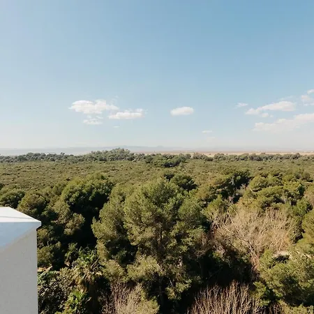 El Saler, A Magical Retreat Between Sea And Nature * 瓦伦西亚