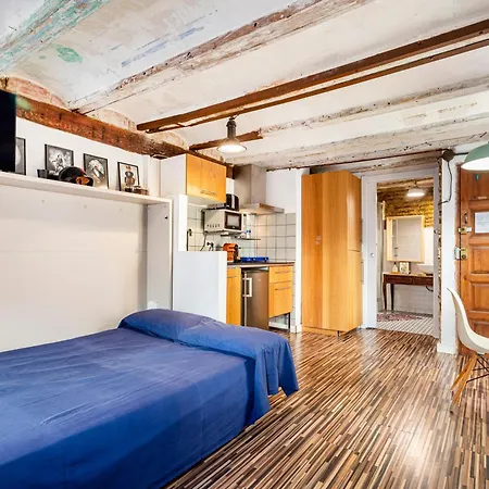 Loft Con Terraza En El Centro Apartamento *