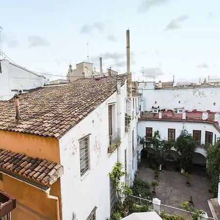 Total El Carmen * Valencia