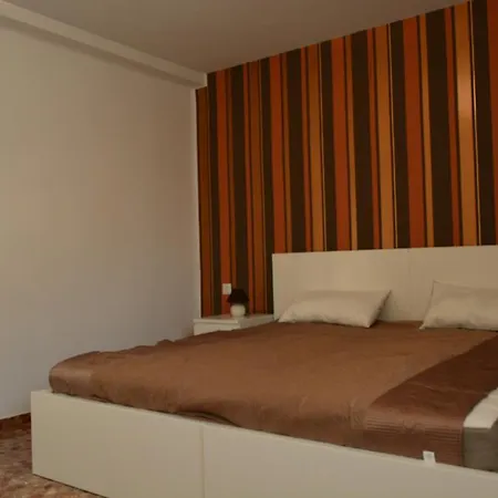 Arena's 瓦伦西亚