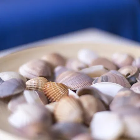 Cozy Fisherman's House * فالنسيا