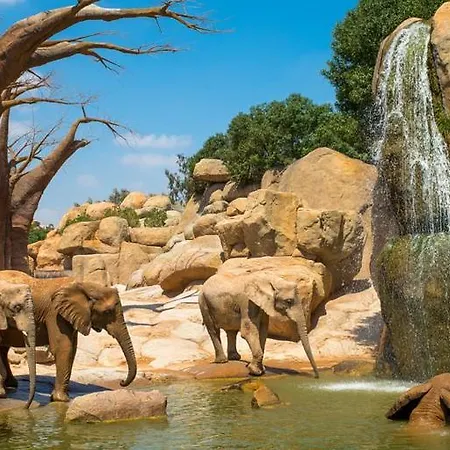 Konukevi Cama Del Mar Valensiya