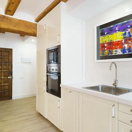 Vivaldi Center Valensiya