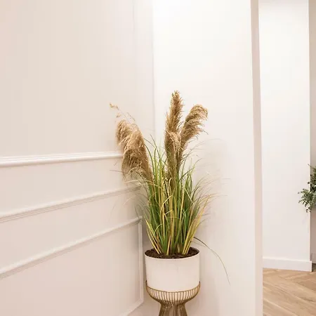 Gasthuis Blanq Comedias 4*