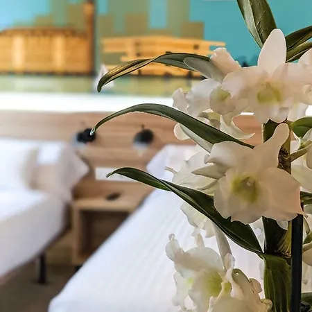 Konukevi Original Domino House 4*