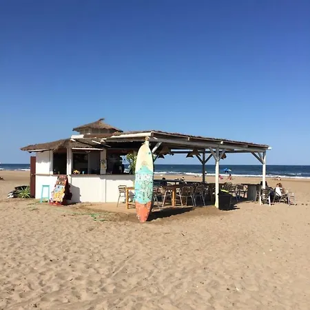 Valencia/mare Nostrum ולנסיה