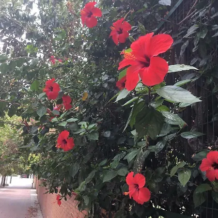 アパート Apartamentо Menorcа менорка *