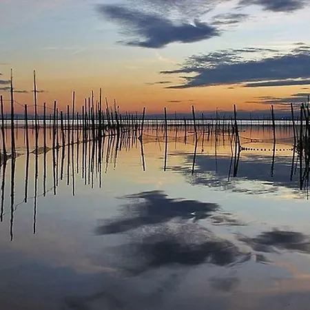 بيت للعطل En La Ciudad De Ciencias فالنسيا