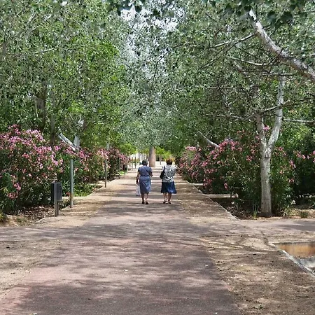 Belchite 발렌시아