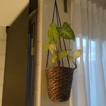 Precioso Piso Junto Al Antiguo Barrio De Campanar *