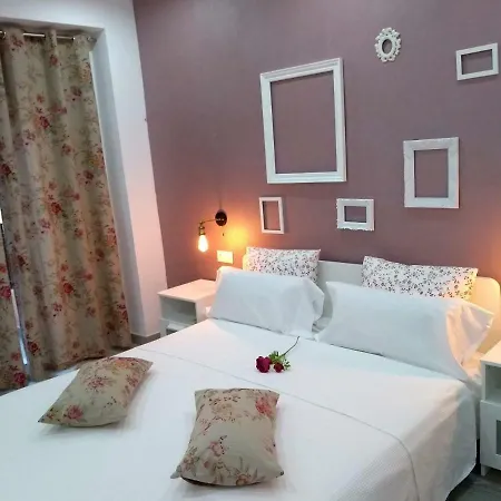 Apartament New Bioparc *