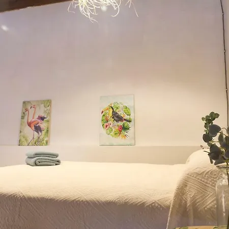 Original Y Espacioso Atico En El Centro De Ruzafa * Valencia