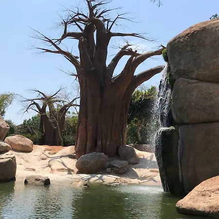 Apartment Cozy In Valencia! Wi-fi !