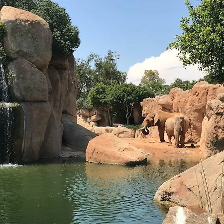 Cozy In Valencia! Wi-fi ! Valencia