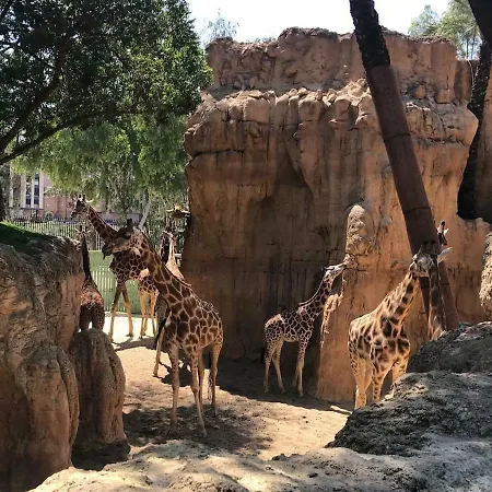 Apartment Cozy In Valencia! Wi-fi !