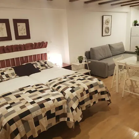 Dormavalencia 公寓 *