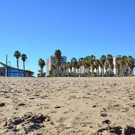 Frente Al Mar Apartament