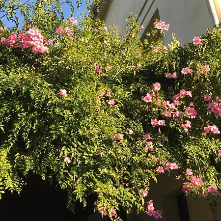 Appartement Elsa Valence