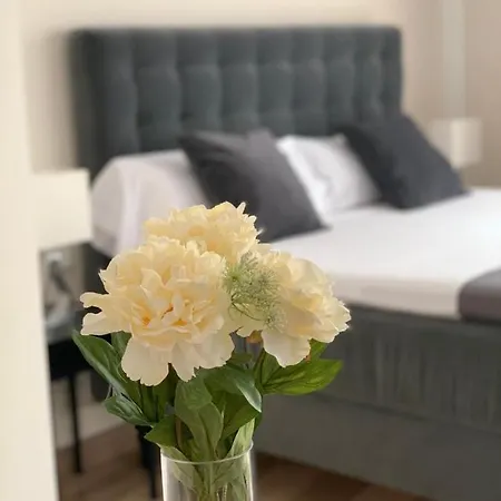 Reina Hotel 2*