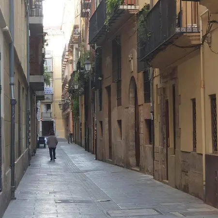 Accommodatie bij particulieren Homestay/center. Valencia
