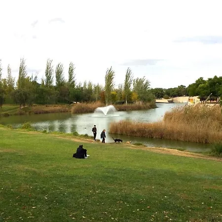 Apartment Cosy Flat With Excellent Location In Valencia!