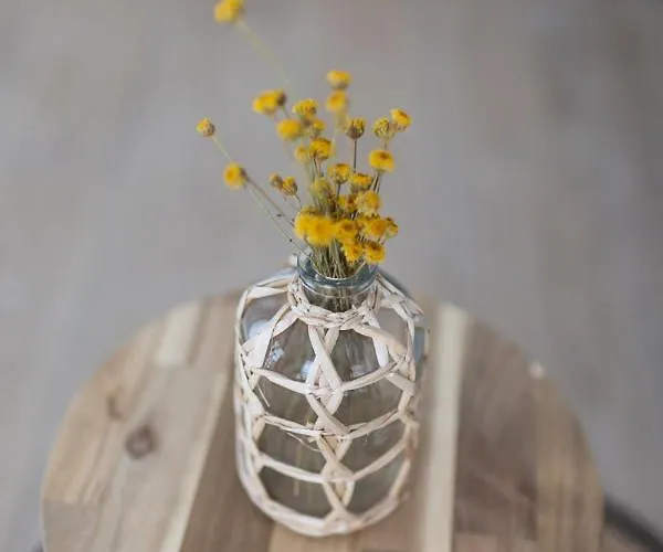 Guest house Florit Flats - The Maritim Serreria