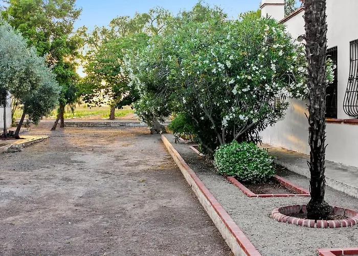 Prázdninový dům Huerto Valenciano - Sol Y Tranquilidad - Piscina *