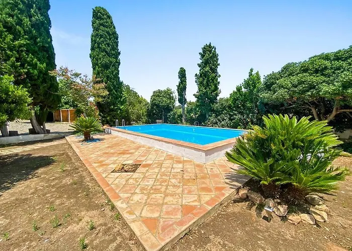 Prázdninový dům Huerto Valenciano - Sol Y Tranquilidad - Piscina Valencie