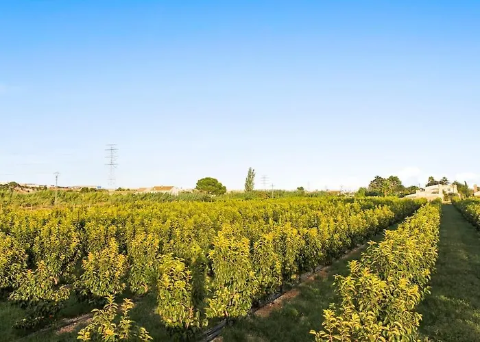 Huerto Valenciano - Sol Y Tranquilidad - Piscina * Valencie