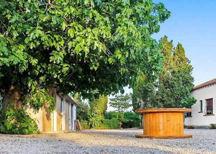 Prázdninový dům Huerto Valenciano - Sol Y Tranquilidad - Piscina