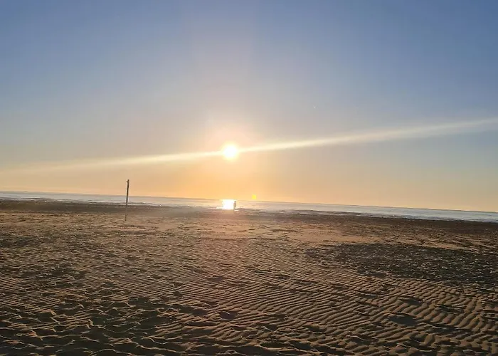 Vegalira 펜션 발렌시아