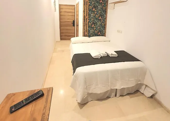 بيت شباب Plaza Resest