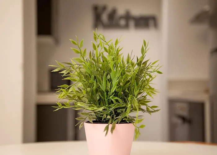 Flats Friends Soho Lägenhet Valencia