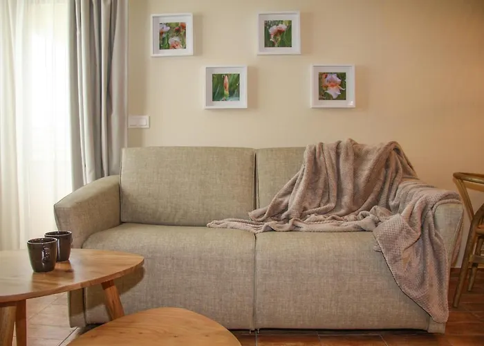 Ciencias F Βαλένθια