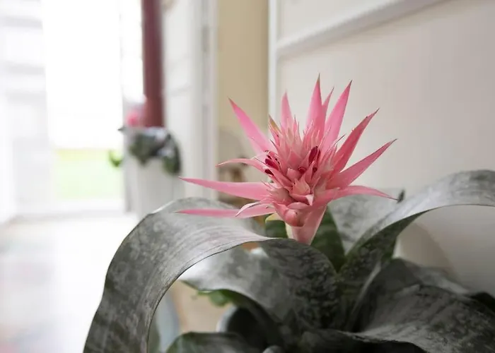 Family Century House With Terrace And Parking Διαμέρισμα Βαλένθια