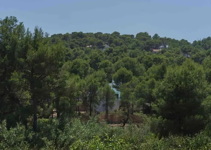 Calma Villa. De Lujo, Jacuzzi Y Piscina فالنسيا