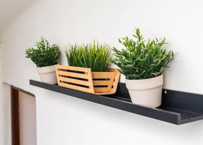 Mestalla River Apartament *