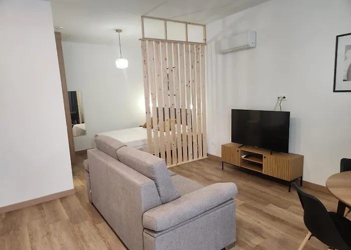 Apartmán Dormavalencia Cronica *