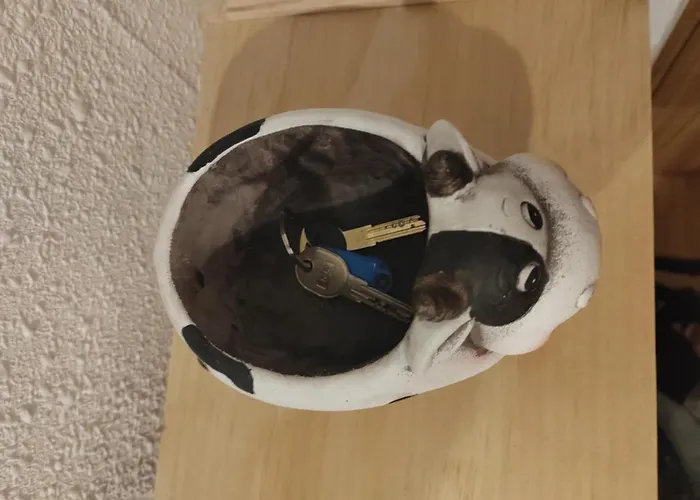 Διαμέρισμα Leticia Βαλένθια