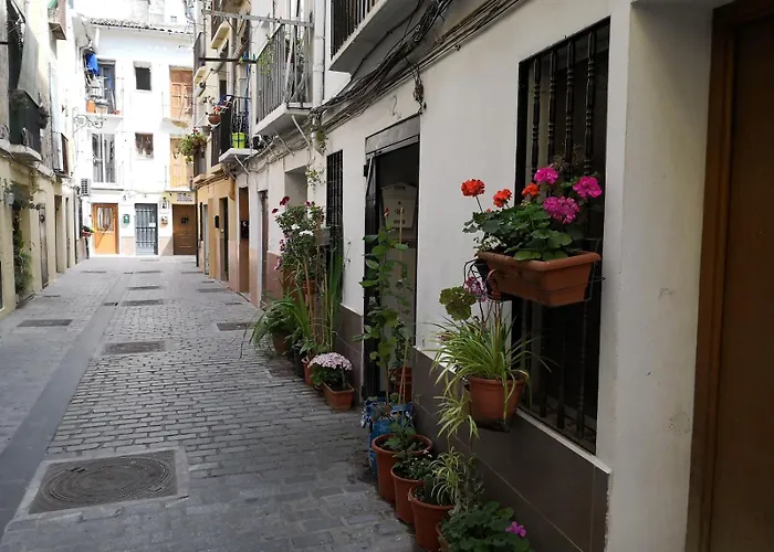 Loft Bajo Vivienda Centro De Valencia-carmen *