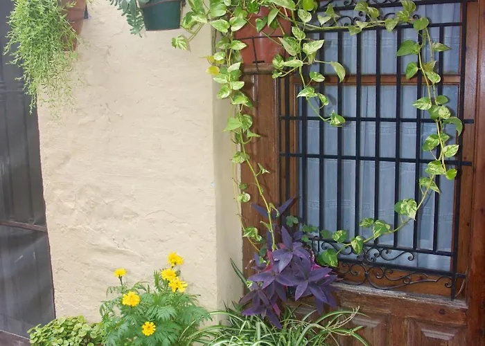 Loft Bajo Vivienda Centro De Valencia-carmen فالنسيا