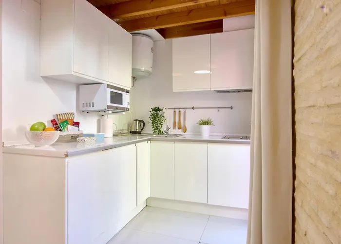 Elegante En Plaza Del Carmen F2 *