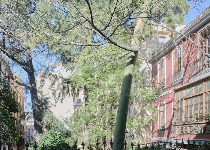 Elegante En Plaza Del Carmen F2