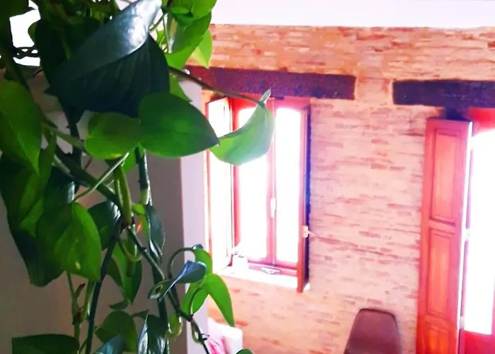 Vlc - Bolseria * فالنسيا