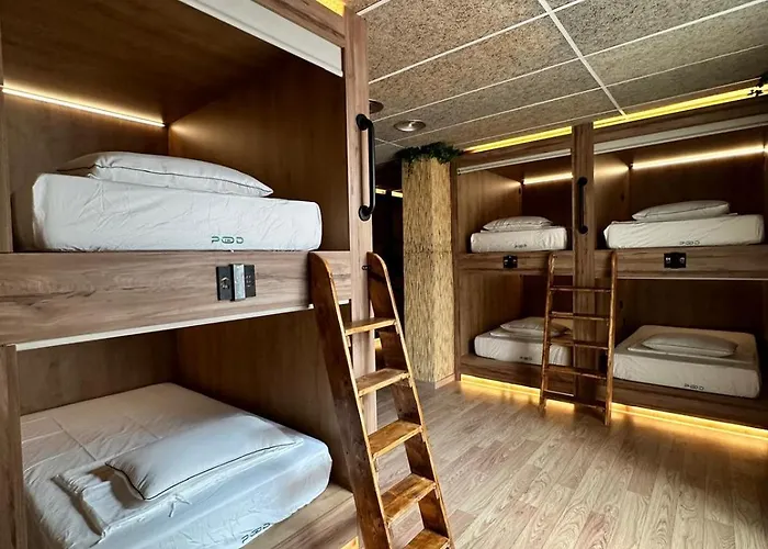 Auberge de jeunesse The Pod Village *