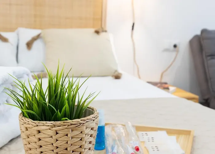 Travel Habitat Ruzafa Lofts