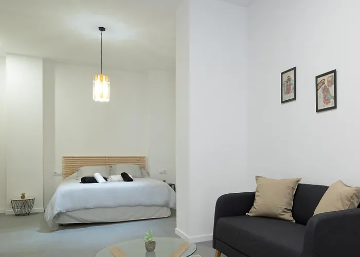 Esc - Loft Comodos Y Espaciosos Estudios Cercanos A Estacion Joaquin Sorolla * Valencia